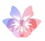 gallery/logo